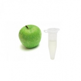 Ароматизатор Capella Flavors USA Зеленое яблоко 1 мл